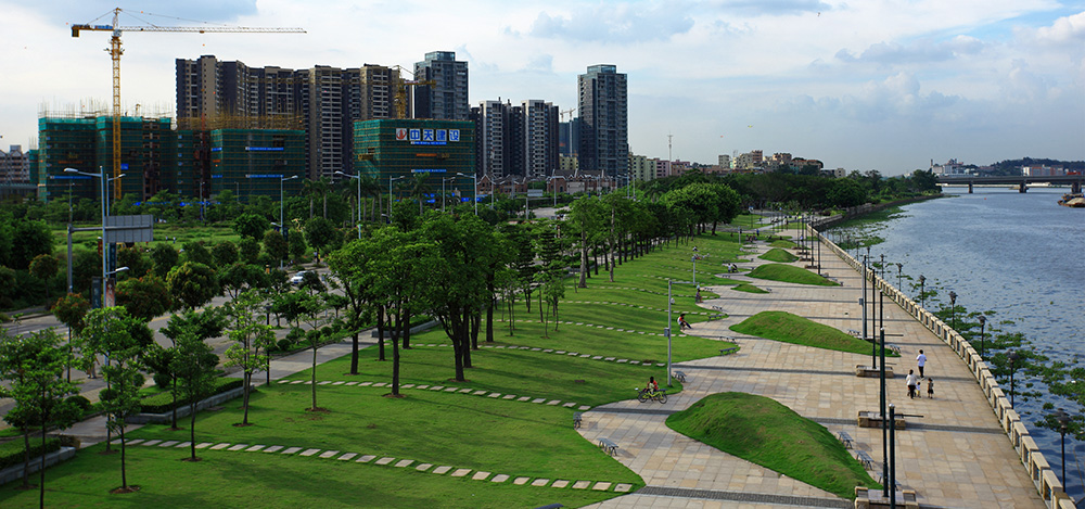 广州市金沙洲居住新城P线景观、K、M、N、U路绿化工程